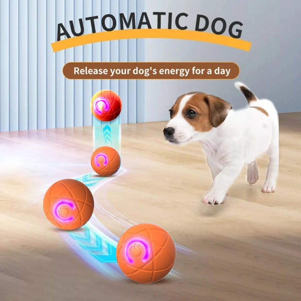 Bite Resistant Teasing Dog Ball Smart Automatic Rolling Ball Toys