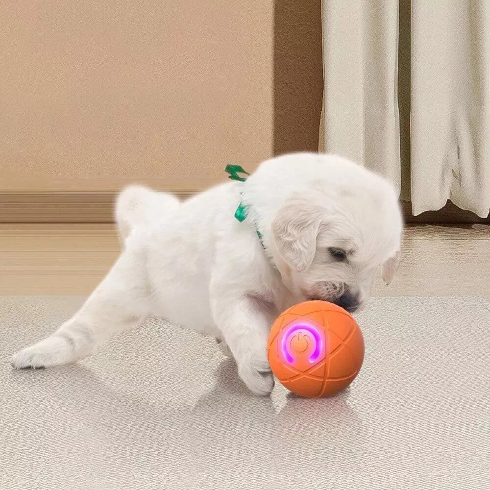 Bite Resistant Teasing Dog Ball Smart Automatic Rolling Ball Toys