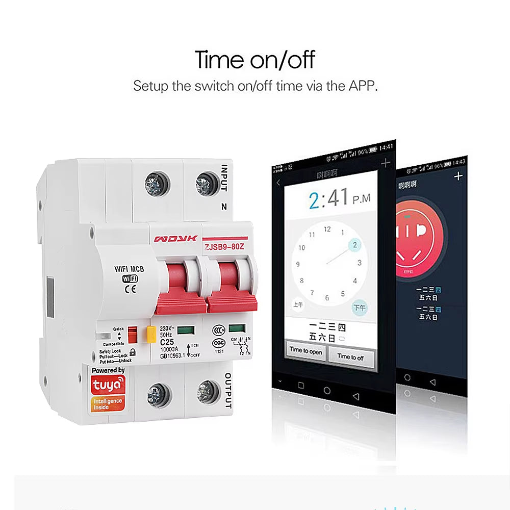 Smart Life(Tuya) App 2P Wifi Smart Circuit Breaker Overload Short Circuit Protection with Alexa Google Home for Smart Home