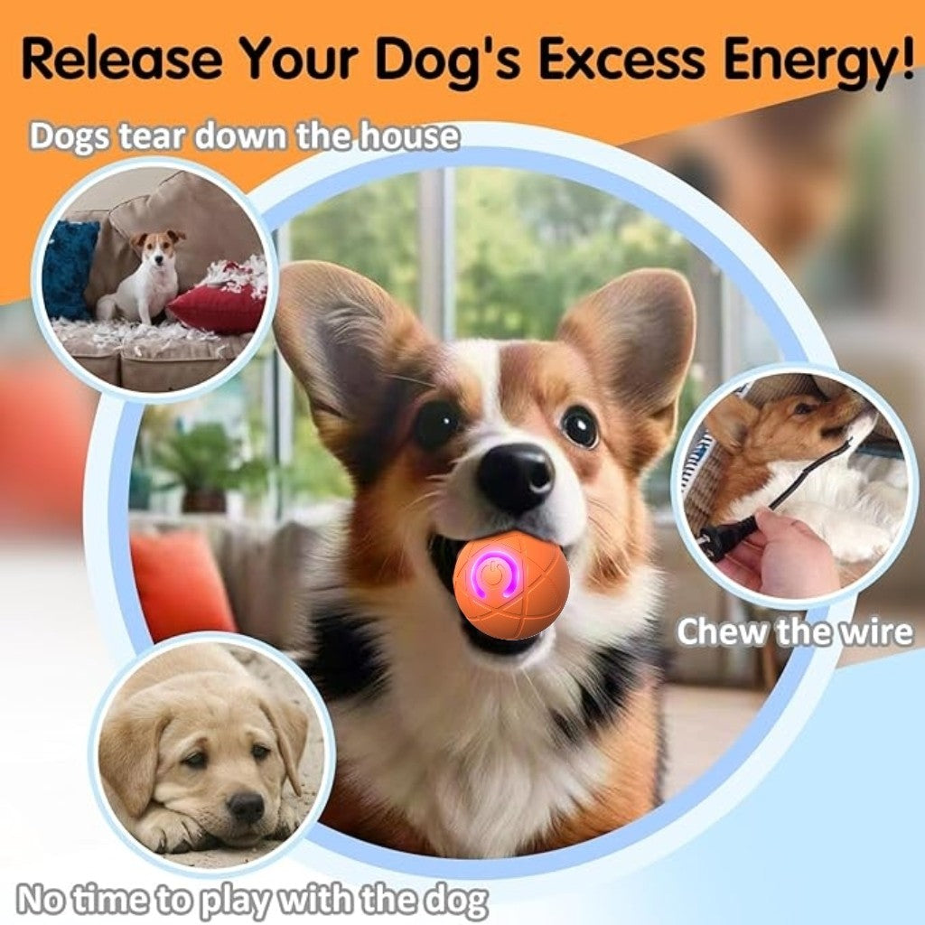 Bite Resistant Teasing Dog Ball Smart Automatic Rolling Ball Toys