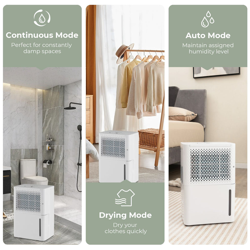 12L/Day Dehumidifier with Continuous Drying Auto Mode and 24H Timer