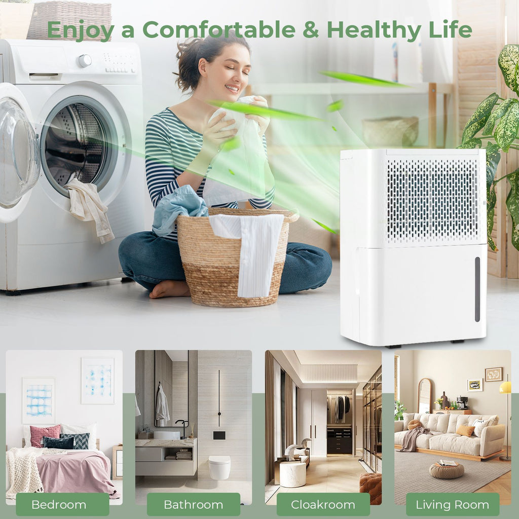 12L/Day Dehumidifier with Continuous Drying Auto Mode and 24H Timer