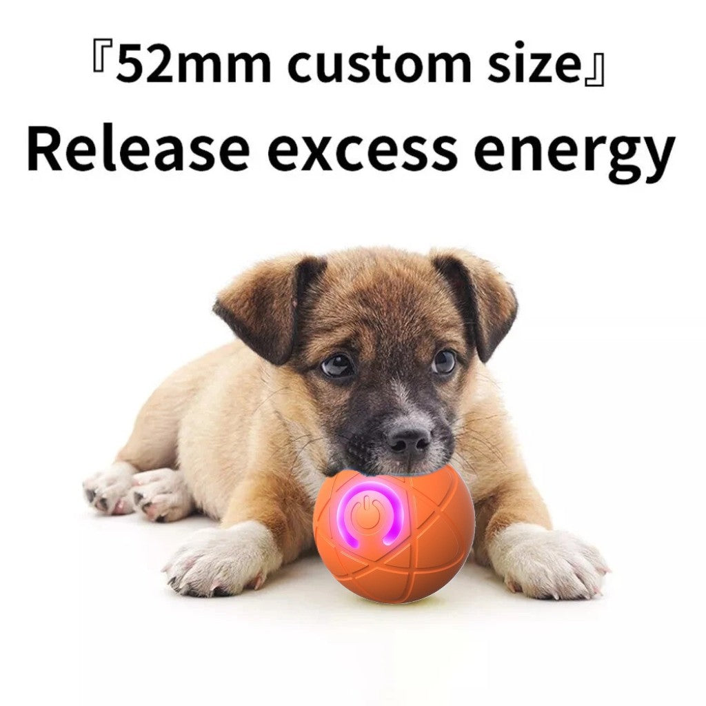 Bite Resistant Teasing Dog Ball Smart Automatic Rolling Ball Toys