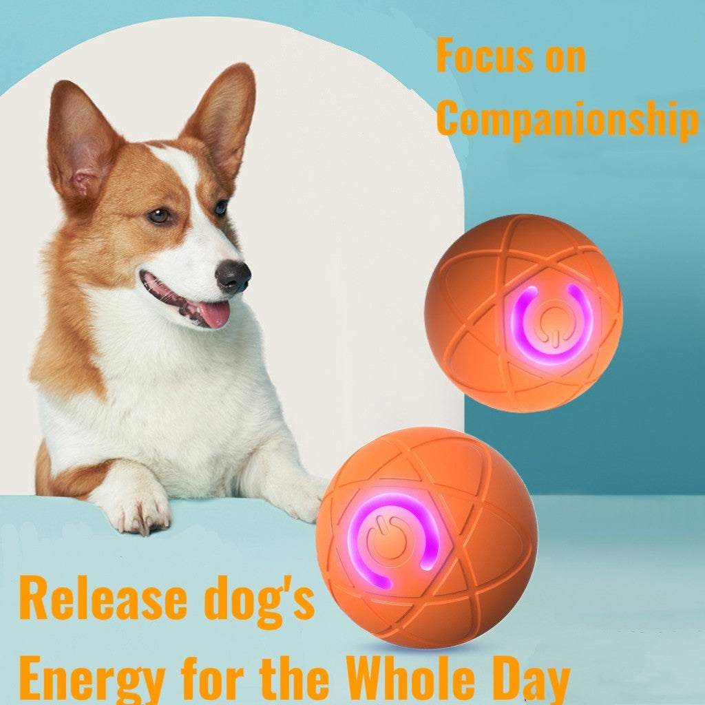 Bite Resistant Teasing Dog Ball Smart Automatic Rolling Ball Toys